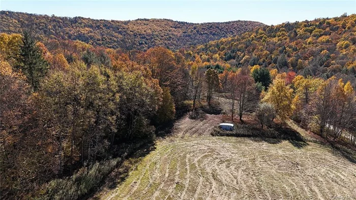 13.36 acres of meadows, forest, with drilled well and driveway. This property is set on a quiet town road, with ultimate privacy and accessed by a long red shale driveway, coursing through two cleared fields, great views from multiple home sites. Suitable for farming, gardening, horses, hunting, quads and all the outdoor Catskill sports. Here is your chance to purchase a complete country getaway only 15 minutes to Callicoon, New York and the Delaware River.