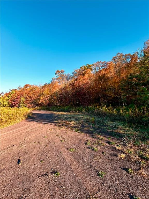 Welcome to the Sedona of the East. Feel like a King or Queen on throne at the very top of Castle Mountain. This 25 acre property can be multipurposed and has 360 degree views and a 179 mile view of the Catskills, Adirondacks and Berkshires. This property has enough roadway for a private landing strip and at the very summit there is a natural spring fed pond, fire pit, and plenty of wooded area. Enjoy the ambience and energy of Castle Mountain along with the gorgeous neighboring town of Stamford.