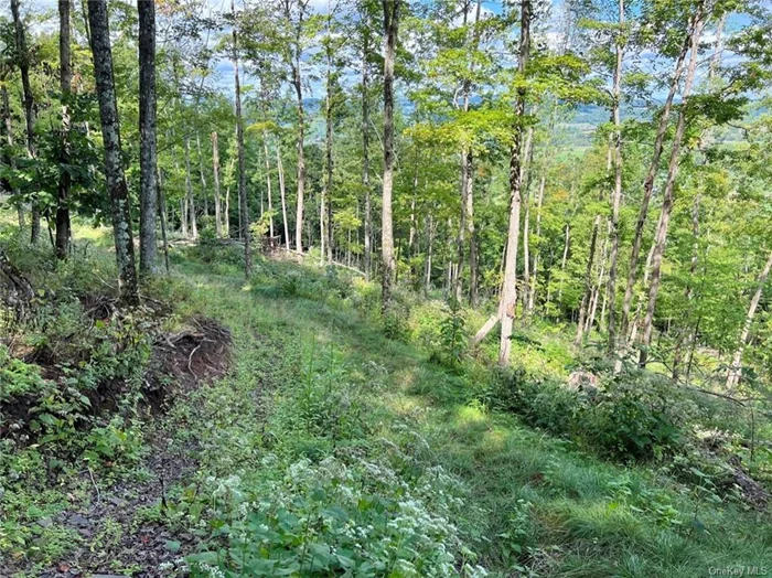 Located on a private road in the rolling farm country of Delaware County, NY, this property offers a great opportunity to have a large private lot ideal for a weekend getaway or a full-time home. There are excellent trails, well marked boundary lines, epic views, and abundant wildlife. This isn&rsquo;t flat land but the perfectly groomed trails are easy to walk or drive on and the views at the top are breathtaking. Whether you&rsquo;re looking for a property to ride ATV&rsquo;s, hunt, or just simply breath the clean mountain air, this property is it. You&rsquo;ll want to see this one for yourself before it&rsquo;s gone.