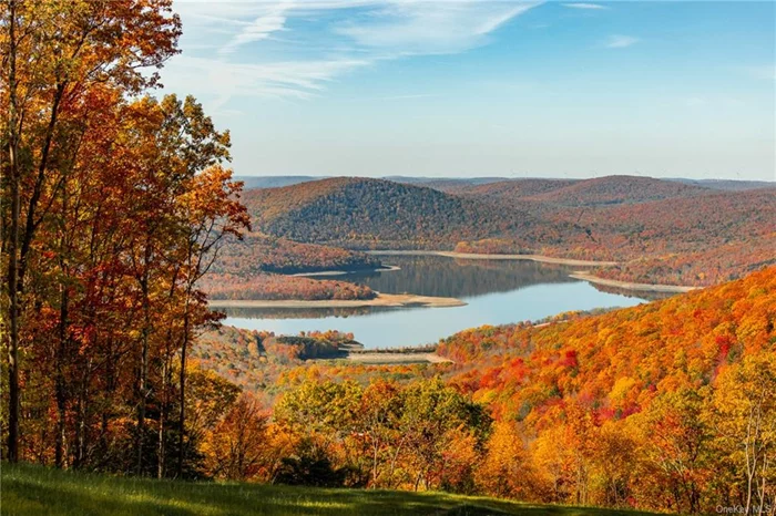 Experience one of the most stunning vistas of the Western Catskills at Tower Mountain, an exceptional 25 acre lot with a thoroughly prepared build site. The land has been intentionally cleared in an area that captures the best long range views of the mountains and the Cannonsville reservoir. Build your full-time dream home or a peaceful retreat, this property combines natural beauty with easy accessibility. Tower Mountain&rsquo;s 25 acres are blanketed ineastern hemlock, haple, and birch trees giving the cleared buildable area a private, nestled feeling amongst the woods. Wildlife abounds with white-tailed deer, bald eagles, and even the occasional black bear roaming the woods.  Many thoughtful preparations have been completed at the build site. The area has been excavated, select trees removed to open up the view, grass planted, and successfully perc tested. There is both electricity and high-speed cable internet on the paved town road. Finally, there is already a gravel driveway built to to the clearing. The driveway is short enough for convenience, but long enough for total privacy. Everything is there but your dream house.  The areas around Tower Mountain are an outdoorsman&rsquo;s paradise. The Rock Rift Fire Tower hike is just around the corner, or take your kayak to the Cannonsville reservoir which is only 1 mile away. There are countless other opportunities for hiking, fishing, mountain biking, or whatever other adventure you wish to find.  The property is about a 20 minute drive from the useful towns of Walton, Hancock, or Deposit. Any of these towns provide amenities such as grocery stores, dining, shopping, and entertainment. The property is 2 hours and 45 minutes from the George Washington Bridge, so easily within reach for a weekend getaway from the city.  You truly need to visit the property to understand its unique and majestic beauty. Book a showing today!