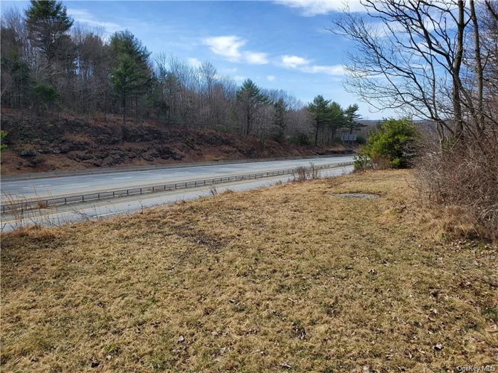 Visibility and location don&rsquo;t get any better than this, Highway Commercial property consisting of (2.5) just off the Rock Hill Exit in Sullivan County directly on Route 17. This is a perfect location for your business ie. recreational vehicles, storage units, sales, restaurant. Check documents for permitted uses. The 1500 square foot cape cod style home also included is being renovated with new paint, new carpeting, new furnace, new roof, new windows. It would be perfect to live near your business or use for an Air BNB or an office for your business which could be right there on the remaining property. This property will showcase your business right on Route 17 in Sullivan County. Also located near casino, lakes, restaurants, trails and all Sullivan has to offer.