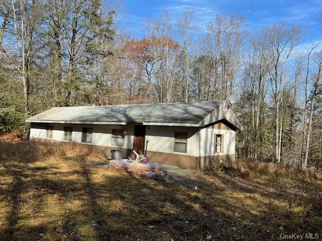 Riverfront wooded parcel with a mobile home, well and septic. There is 1600+/- feet of road frontage and 479 +/- feet of frontage on the Neversink River. This is a great parcel with private access to a fabulous trout fishery and to tons of NYS Hunting land. Great spot for a home or estate. The mobile home is old and was used as a hunting camp by the owner&rsquo;s family for many years. Take a look! This is a hard-to-find property in this area and less than 2 hours from NYC.