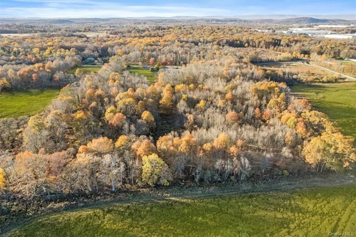 Calling all developers! This is your opportunity of a lifetime in an industrial zone in the Town of Hamptonburgh NY with a plethora of zoning for a multitude of different concepts from Senior Housing to Light Industrial! 14.2 acres (some wetland- very small ask for detail) of vacant land! Close in high visibility near I 84 New York State Thruway N under 50 miles to New York City additional information coming stay tuned! Owner will hold paper