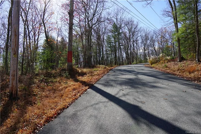 Magical rolling land, rising to the ridgeline overlooking the Pennsylvania hills. An existing driveway takes you almost to the top of this 15-acre parcel. The walk up is delightful with views through the woods, pretty glens and glades and occasional flat areas that could be wonderful home sites. Beautiful rock formations, including several bluestone rock deposits and a shale pit, plentiful natural resources to build with! Dry now, but there&rsquo;s a perfect spot for a pond, which would fill in nicely when the rain comes. Majestic hard woods dot the site, along with young, clearable growth. Land of beauty and character, peaceful and secluded, it&rsquo;s a fairytale spot to build an equally beautiful home!