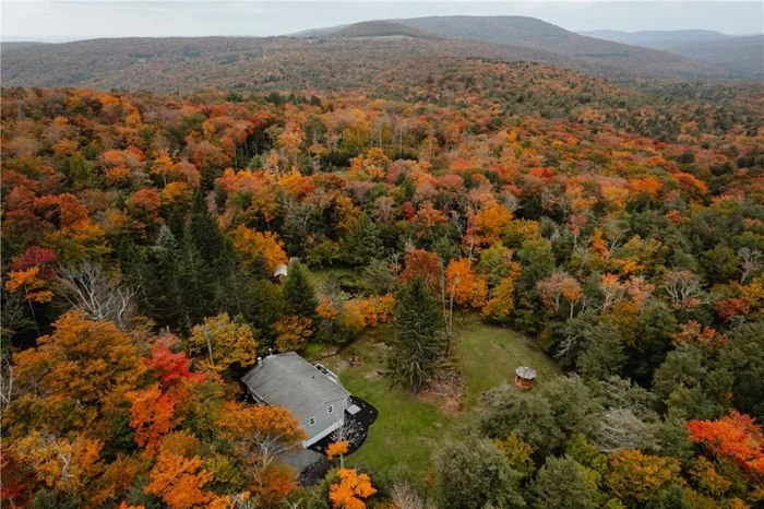 Welcome to Owl Hollow, nestled in the heart of the Catskill Mountains in Denning, NY this remarkable bi-level home offers 5 bedrooms and 3 bathrooms with 1968 sq. ft of living space, making it the perfect sanctuary for both relaxation and adventure. Situated on a sprawling 12 acres of pristine land, Owl Hollow is a haven for nature enthusiasts and tranquility seekers. This home has been thoughtfully and completely renovated to provide modern comforts while maintaining its rustic charm. Gather around the fireplace in the spacious living room on cozy evenings. Step outside from the kitchen onto the deck, where you can bask in the sun or stargaze on peaceful evenings. The 12 acres of land that come with this property are your private playground in this natural paradise. Located close to state land, whether you&rsquo;re into hiking, skiing, hunting, or simply enjoying the tranquility of nature, this location has it all. For entertainment down the road is the Russian Mule Brewery for live music and food, hop on over the mountain to Woodstock and Phoenicia, go to Livingston Manor and Roscoe, so much to explore in the Ulster and Sullivan Catskill Mountains. Owl Hollow is a rare gem where modern comfort meets the beauty of the Catskill Mountains. Don&rsquo;t miss your chance to make this dream property your own. Escape the hustle and bustle of city life and embrace the peace and natural beauty that Owl Hollow offers.