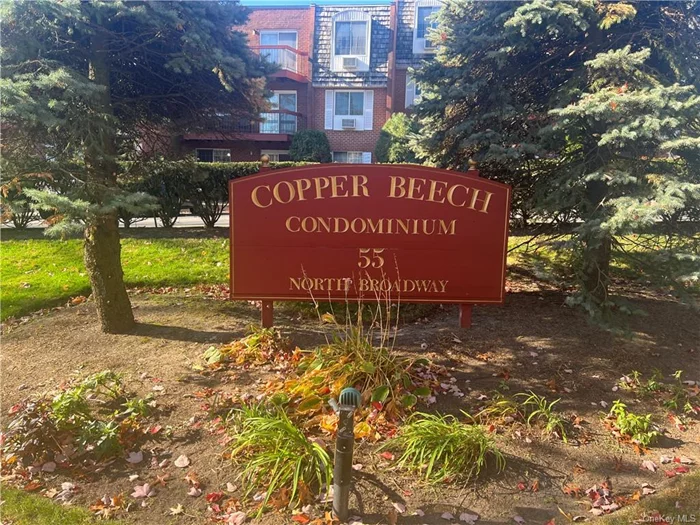 Condo living in the heart of White Plains. Available November 15th at the Copper Beach Condominiums. A 2 bedroom, 2 Bathroom, with a sun filled spacious living room, wood burning fireplace, formal dining area, with hardwood floors throughout. Modern kitchen,  washer/dryer, and assigned parking for 1 car. Located in the heart of White Plains, walking distance to City Center,  Westchester Mall,  Metro North, Bus transportation center, Greyhound.