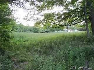 Start Your Plans and Dreams Here! With This beautiful 6 Acre Parcel Of Land, A Great Commuter Location Minutes To I84, Rt52, Rt22, Brewster/Metro North Train Station And Local Shopping, 15 Minutes in Either Direction To Fishkill New York Or Danbury Connecticut, come view this great property for your self, you may find it worth the while to build your dream home. 5 Acre is in the Pawling township and 1-1/4 acre is located in East Fishkill both being sold together.