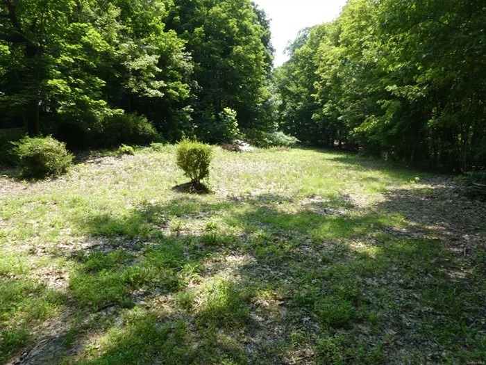 THIS LOT IS AT THE END OF A PRIVATE ROAD RIGHT IN RHINECLIFF. THERE WAS ONCE A RESIDENTIAL HOME HERE SO TOWN WATER IS IN PLACE. COULD BE PURCHASED WITH THE NEIGHBORING HOME FOR SALE MLS #416718. *NO DRIVE BY PLEASE*, IMPROVMNTS:Drive