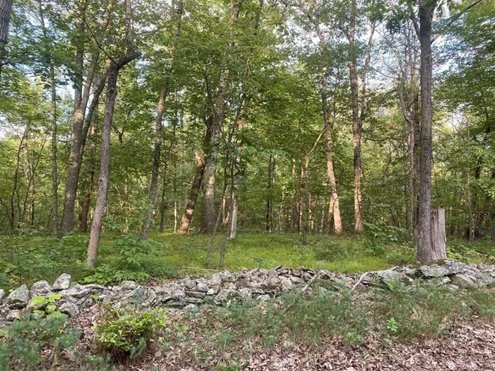 A bucolic Dutchess County road leads you to this 4.63 acre parcel. The property consists of woodlands, stonewalls, and some wetlands. There is 386 feet of frontage located at the end of Ohland Road. The Board of Health is already in place. Peaceful and private, this parcel is a wonderful location to build your dream home. Conveniently located between Millbrook and Rhinebeck.