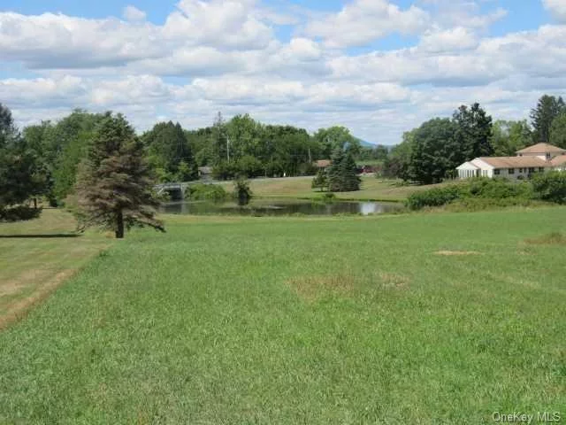 A lovely 11 + acre building lot in a quiet country location has Catskill Views and a shared pond on property BOHA in hand and land is cleared and in pasture grass . I have map electronic I can send you a wonderful property in a great location one of the nicest land parcels around ., IMPROVMNTS:Lot Staked This is in the town of Livingston