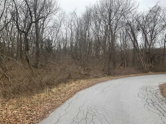 9.6 Acres of raw land consisting of three contiguous parcels. There is a small stream that runs through the property. MLS # 414591, # 414592 & # 414593