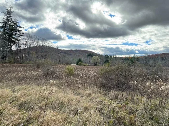 Located on the main commercial corridor of Millerton NY, this flat, open 9.9-acre parcel has many possible uses. There are two 50 ROWs that provide access to the parcel from Rt 44. The land is level and open, with open views to the south. Outstanding opportunity for a commercial development property. Minutes to Salisbury, Sharon, and the Wassiac Metro North Station.