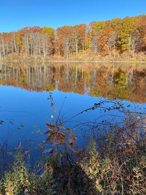 LITCHFIELD HILLS SECLUDED 15+/- ACRE LAKE fed by the pure headwaters of the Bantam River and natural springs. Formerly owned by the Litchfield Water Company, this deep cold trout lake once supplied the town of Litchfield, CT with its drinking water. Today it is privately owned and surrounded by almost 300 acres of surveyed forest land in Northwest Connecticut's Litchfield Hills. With its approximately 2, 000' shore line, the reservoir provides numerous possibilities for multiple home sites, a grand estate or other uses allowed by zoning. The Bantam River gently cascades from the earthen dam spillway providing a series of mini waterfalls and the unique sounds of falling water. A gravel drive extends into the property from the end of Reservoir Rd allowing easy vehicular access to the interior along with the means to extend electric power. Another means of ingress/egress is from Pie Hill Rd on the North. The Westerly portion of the property abuts 108 acres of a non-development farm. Bordering the East are 161 acres of Conservation land and 2, 000' of Ivy Mountain Brook affording excellent trout fishing as well. New York City 2 hrs, Bradley International Airport 1 hr, Boston 2-1/4 hrs, Tanglewood 45 min, Music Mountain 15 min. (Owner is a licensed CT RE broker).