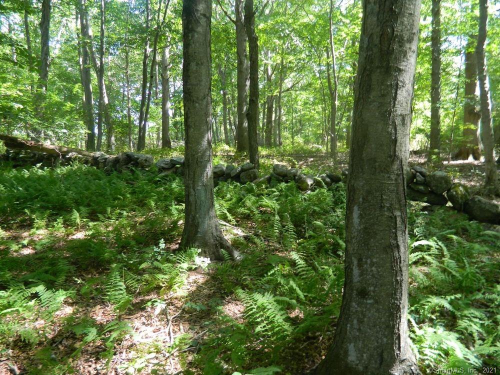 26 Acs of private wooded land with fairway & green frontage on the Black Hall Club Championship Golf Course. Land is subdividable. Owner will assign to buyer individually the right to become a member of Mile Creek Beach Club. Great opportunity for builder or developer. Old Lyme beaches are just across the way and now is the time to grab a piece of the CT shoreline!