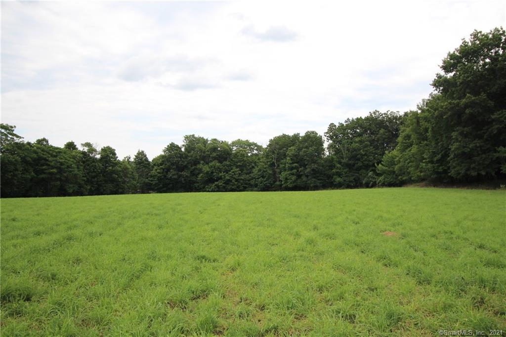 Rare find in downtown Woodbury! 20 plus acres of open meadow, views, and within walking distance to town center, schools, and parks. Over 950 feet of road frontage allowing for a multi-lot subdivision. This parcel has an additional 11 acres that will eventually revert back to this parcel once O & G if finished with the quarry. One of the last in town plots with the gas line only a few hundred feet away and town water at Main Street. Lots of development possibilities! Fantastic views of downtown Woodbury!