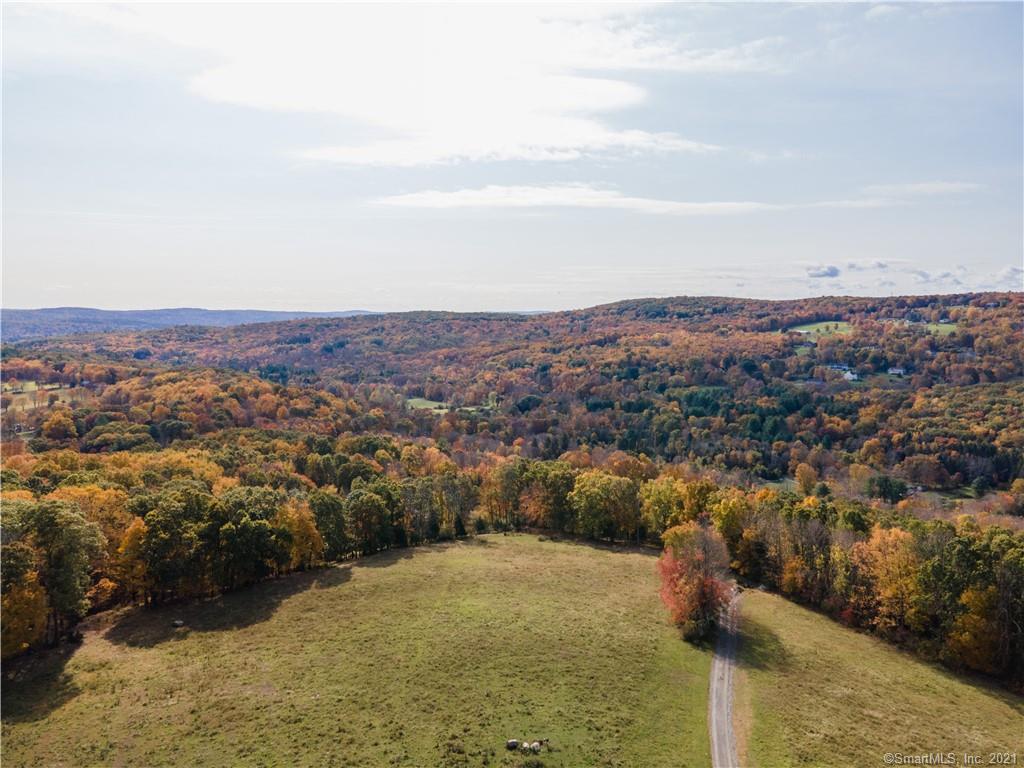 Build your dream home here!!! Level building site. Most of the 46 acres is fenced. Barn with small apartment and two outbuildings. Come live in beautiful Litchfield County and enjoy the sunsets! Cows not included.