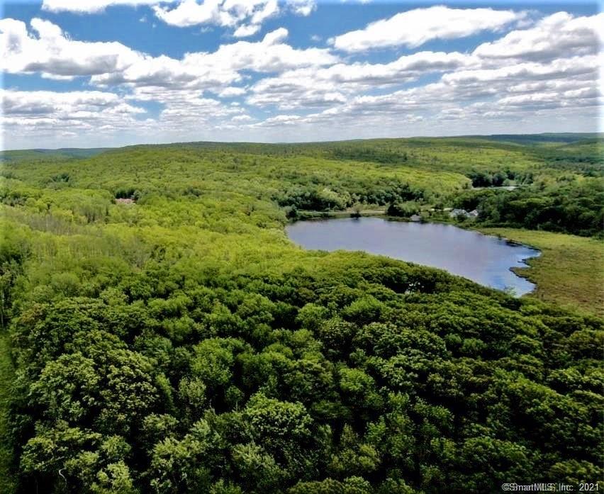 POND RIDGE Litchfield County CT Land for Sale: 118+- acres with a 4+ acre pond. High ridge land with 1420' elevation. Distant views to the East and West One of the highest elevations in NW Ct. The property is ideal for a large estate or other options considered and offers a variety of stunning wildlife and trails. The only large parcel 2 minutes from the center of town; with this high elevation; estate potential; with a noted address; beautiful trees; quiet. Five minutes from one of the oldest country clubs with a coveted chef. 2 1/2 hours from New York, City or Boston