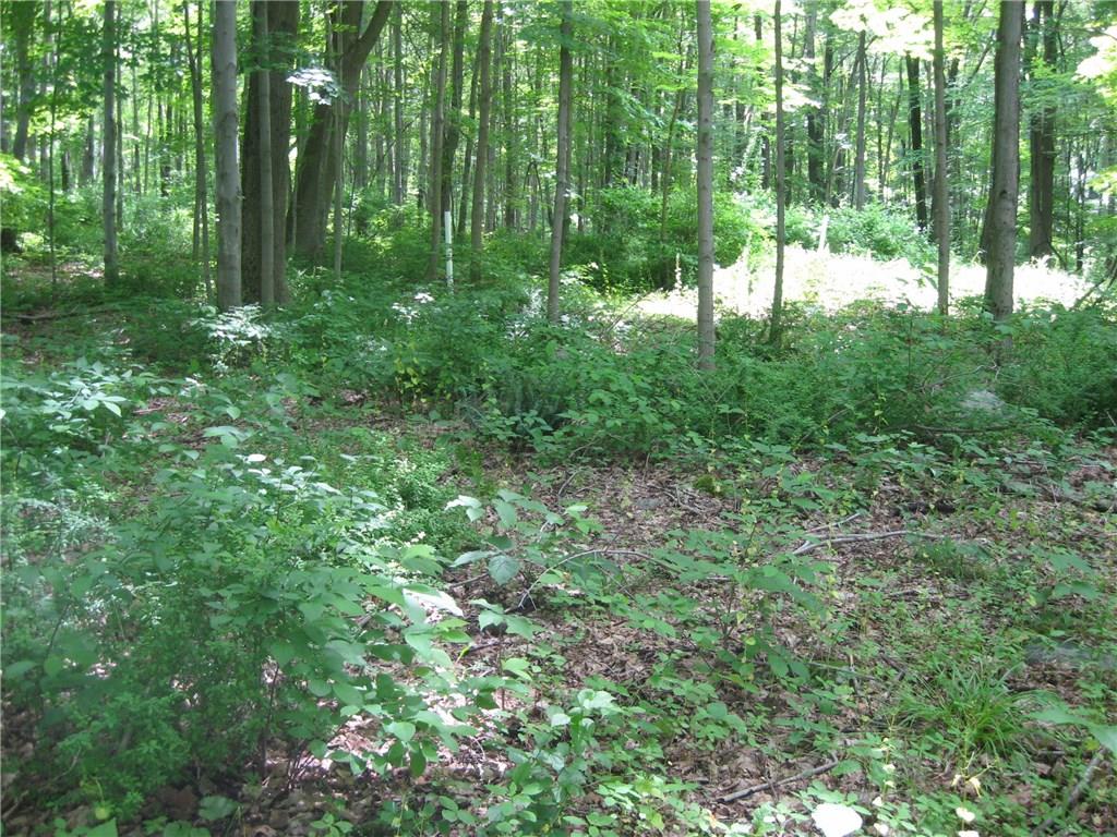 Fantastic opportunity to create a compound or estate. Lovely location on Washington/ Roxbury borderRarely available large track. 28 acres combined. Raw land This land is currently Forest designation which is reflecting taxes and assessed value