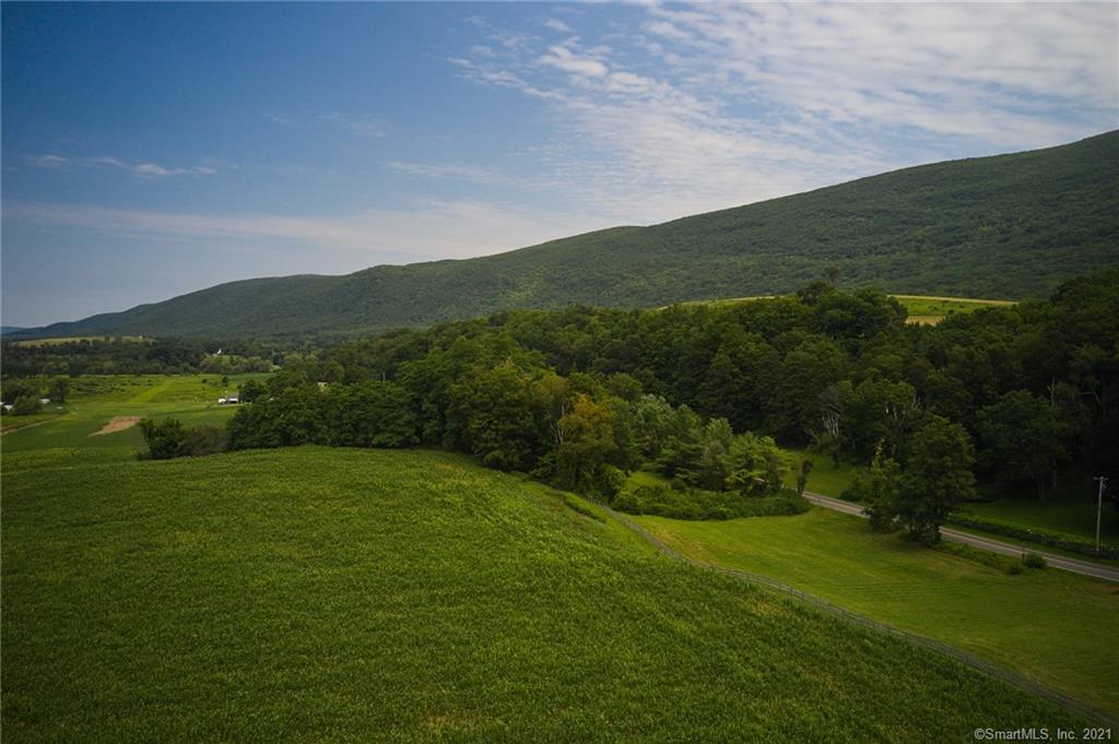 Boston Corners Farm. Estate parcel with incomparably beautiful panoramic views of the Upper Harlem Valley. Conveniently located near the trend setting Hamlet of Millerton NY. Views are almost entirely protected by federal, state and Columbia Land Conservancy properties that make up the Berkshire Taconic Mountain Range and the Harlem Valley Rail Trail Corridor. Walk, bike or drive to Bash Bish Falls, Catamount Ski Area, Hudson, Great Barrington and all the outdoor recreational, artistic, and cultural amenities that make the greater Hudson Valley region one of the most strategically sound and enjoyable place to live in the Western Hemisphere. Rarely does an opportunity such as this present itself.