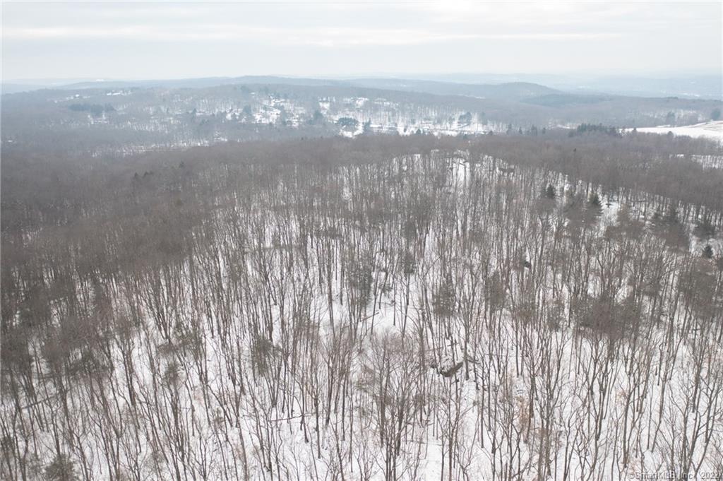 Build your dream home! 18.69 private acres abutting bucolic Whittemore Sanctuary. Just minutes to Historic Downtown Woodbury, Lake Quassapaug and just 15 minutes from I-84, this is the ultimate location.