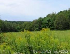 6.93 Acres of land located in the heart of the Industrial zone. Close to town and highway access. Possible environmental concerns to be negotiated.