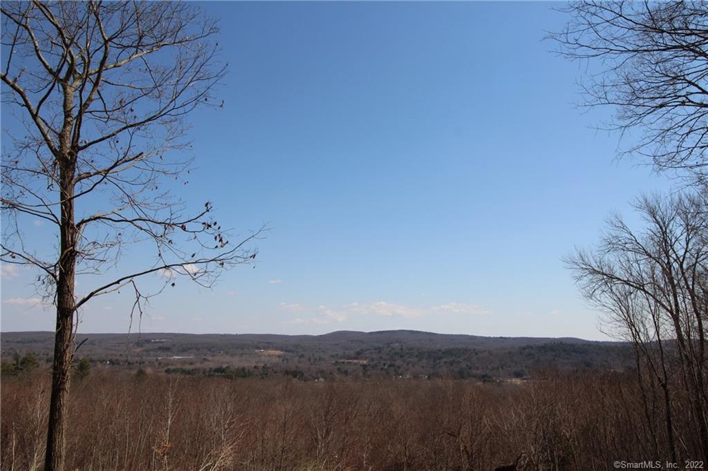 Views, Views, Views - gorgeous 180-degree views over historic Main Street Woodbury. A 20-acre parcel within a short walk or drive to the town center, schools, and parks. The plot has a house location cleared, a drilled well, a septic plan, and a recently roughed in driveway and house site to make walking this parcel easy. Take a drive-by and enjoy the VIEWS and see the potential.