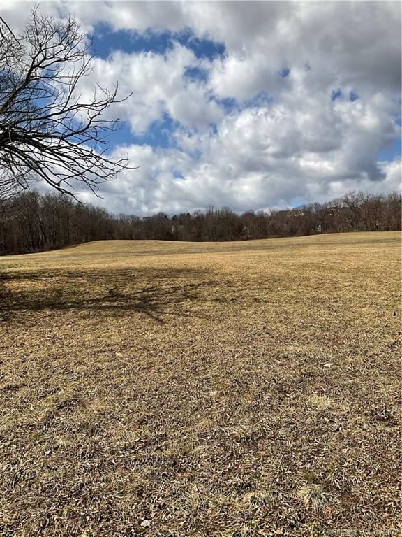 THIS IS A 9 LOT APPROVED SUB-DIVISION IN THE PICTURESQUE CHIPPENS-HILL AREA. M0ST LOTS ARE AT LEAST .63 ACRES WITH 125 FT FRONTAGE & OVER 200 FT IN DEPTH.THERE ARE TWO LOTS THAT ARE APPROX.TWO { 2 } acres AND ONE LOT OVER FIVE [ 5 ] acres . ALL THE LOTS ARE ON THE ROAD WITH WATER & SEWER IN THE ROAD. AREA IS CLOSE TO SCHOOLS & FITNESS & HEALTH FACILITY. AND WITH THE WARM WEATHER COMING YOU CAN ENJOY THE NEARBY GOLF COARSE. EASY ACCESS TO RT. 6 FARMINGTON AVE ,