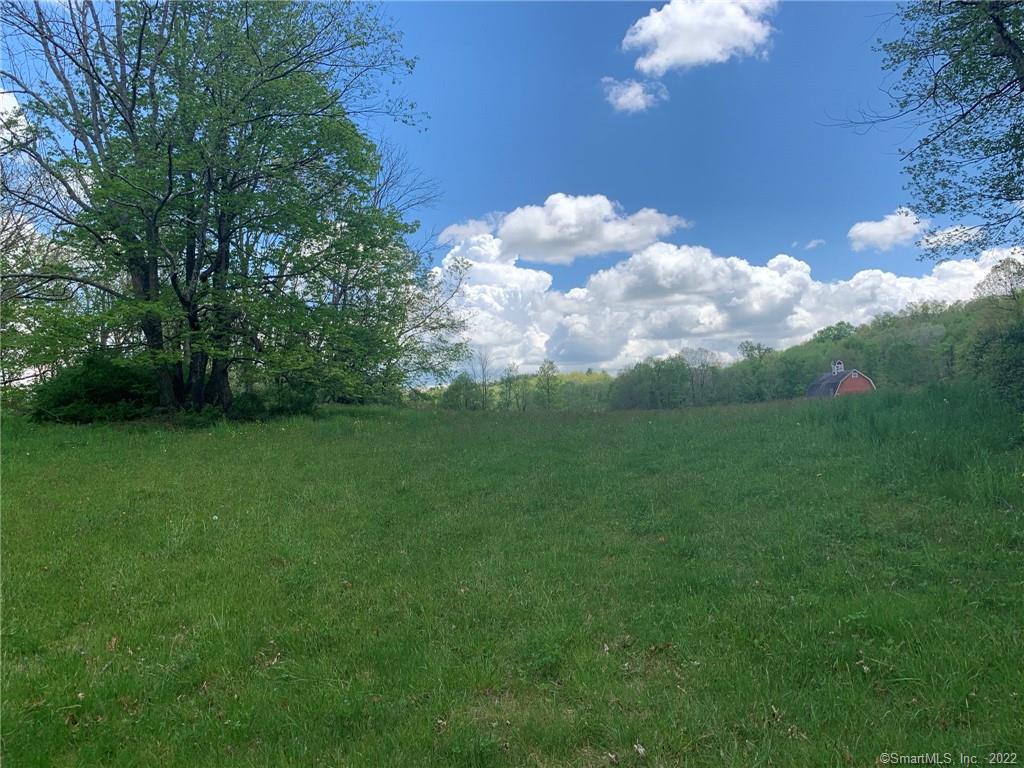 Hilltop West - 3.008 acres of pasture and meadow, old stone wall front border, side lines are tree lined.  Just lovely!  Build your dream home on this parcel w distant views. Bring your horses!  No deed restrictions on size or style, you own the land, you have the freedom choose.   Location is just minutes to Washington Depot or Historic downtown Woodbury.Subdivision was approved 2009 so new testing will most likely be required.