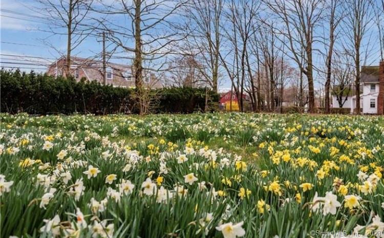 In the heart of Old Lyme Village and the last building lot on Lyme Street, don't miss the opportunity to build your forever home. This parcel may be sub dividable into two building lots with details shown on the available surveyor's map. Long admired for it's iconic iron fence, mature plantings and a springtime meadow of daffodils. The property abuts the Old Lyme Land Trust in the rear and is flat, partially cleared and easily walkable. A short stroll to award winning schools, library, museums, galleries, shopping and the Lieutenant and CT Rivers. Conveniently located to Old Lyme beaches, hiking trails, I-95, rail service and only 2 hours to NY and Boston.Enter through the iron gate by the sidewalk on Lyme Street-look for the sign.