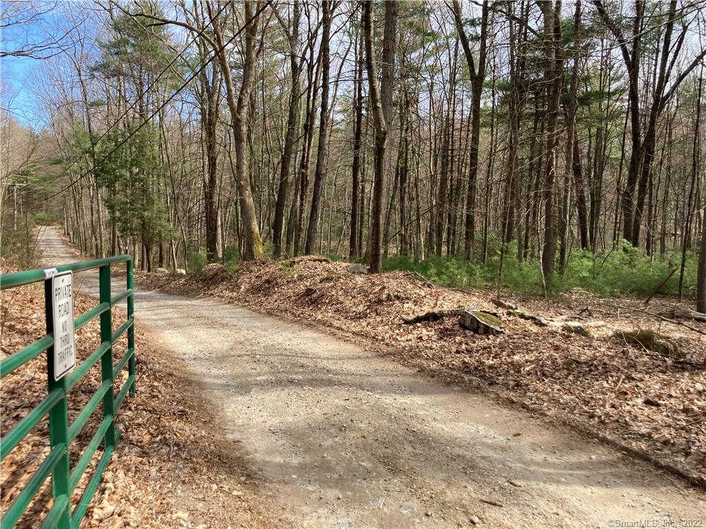 This beautiful laurel-rich hard and soft wood land has wide frontage on CT 198 and on town road Pole Bridge Road, making this an easily accessible home sites. Property is sold AS-IS, contingent on clear title. There is a special permit for a Commercial Building. Septic plan and building design are at the Town Hall. Please note: there is not yet driveway access to this property. Connect with an agent for more information or a showing.