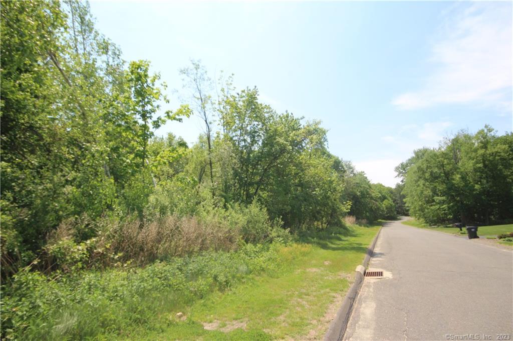 Build your dream house on this level lot situated on a cul-de-sac of upper priced homes. Very private, yet convenient to everything - walk to the park and tennis courts, easy access to I-84 and Route 8. Interior lot 25 foot driveway home sits 450' off road