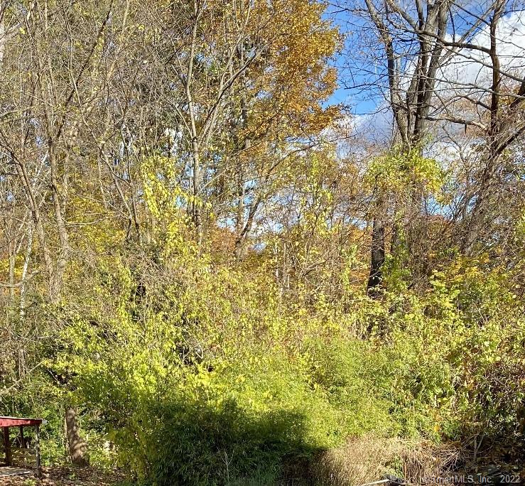 Building lot available with public sewer. Westside neighborhood location. Boardered by a brook. Sewer line runs through the side of the property with easement to town to maintain, see map.