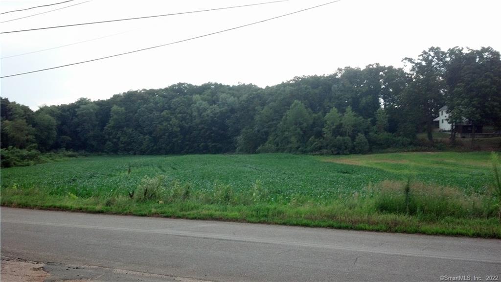 18.44 acres of mostly cleared land available for possible residential subdivision, horse property, farming, or business opportunities on corner of Apothecaries Hall Rd & Chamberlain Rd in Broad Brook. About 15+ acres zoned R-3 Residential, about 2+ acres zoned M-1 Industrial. Over 2200 ft of frontage. Owner financing may be available. Map/Block/Lot # 057-59-010. Make an offer! All offers considered.