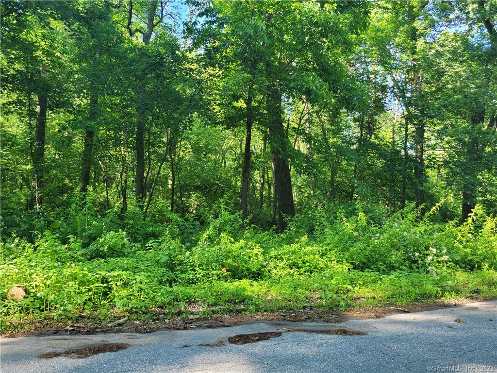 Beautiful land in Brooklyn waiting for your dream home! This 3.63 acre lot is located on a quiet country road with quick access to major routes for your convenience. Don't miss out!