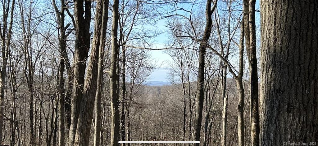 Excellent opportunity to own a large parcel of land located in Sharon Connecticut. Corner lot with road frontage on Westwood Rd. #1 and Westwood Rd. #2. This is a large, beautiful wooded estate setting located in the desirable area of Skiff Mountain. An approximate 1300' elevation allows for long western sunset views. Iconic stone walls meander throughout the property while also defining many of the boundaries of this property consisting of 2 lots, one is 9.68ac and the other is 14.5ac, being sold as one. There is a 100' building restriction easement across from the property at 17WW#2. Property's metes and bounds are clearly marked. A potential building site has been rough cut to provide perspective. Easy to merge the two parcels or recreate the building lot lines upon Planning and Zoning approval. Views, versatility and vibrancy here on this special parcel.