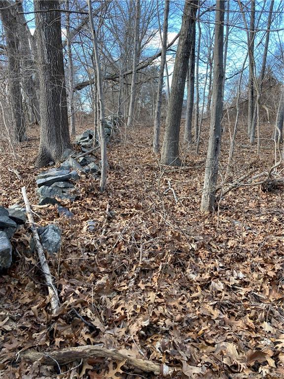 Located off of Boswell Ave and semi rural this lot is walking distance to the Shetucket River. Zoned MF. Road is not completed to the lot but when/if it is completed there will be 160 feet of road frontage on Friendship Street OR the buyer can put in a driveway from the cul-de-sac to the property. Septic will be required with a variance. Raw land. Subject to probate approval. As is, where is.