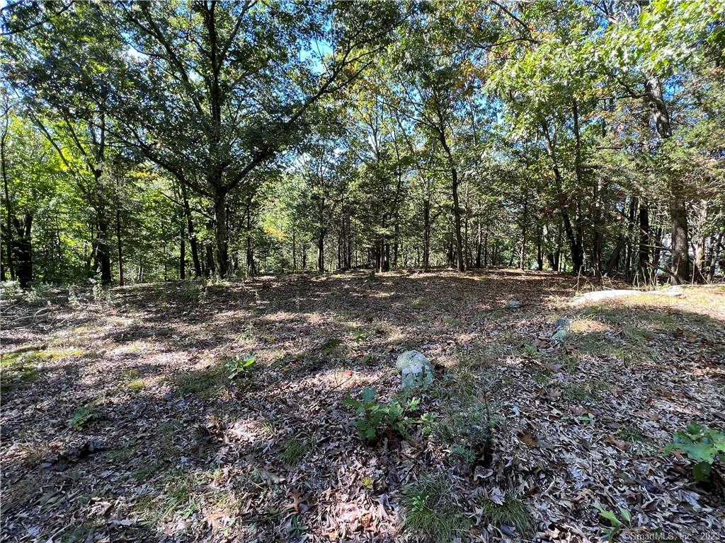 3.48 acre lot with access to Lake Lillinonah. Privately located. The top of the lot is level. Building is a remnant of the land's prior use and may be used for storage while you build your own home. Lake access is within a short walking distance and deeded egress and ingress allowed by an easement that is shared with other property owners. Come with your builder, your plans and make this gorgeous land your own. Maps and easement information is contained in supplements.