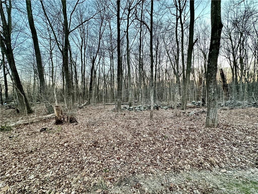 Gorgeous 19.50 Acres with Stonewalls! Beautiful Land To Build Your Dream Home! A MUST SEE!!