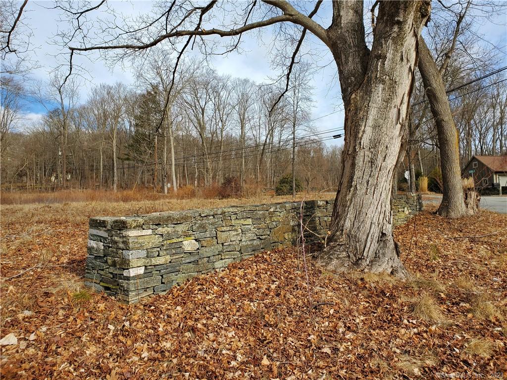 Opportunity abounds with this 1.55-acre lot located in the Brooklyn Historical District. Partially bordered by beautiful New England stone walls, it is conveniently located on Hyde Rd and Route 6. Being in the Village Center District, uses could include residential, business building, offices, and a home business to name a few. Suggest contacting the zoning office with your creative ideas. Current owner has had a site plan, septic specs, special permit signed by Town Planner and a rendering of proposed structure that will be shared with serious prospects. Town water accessible. Listing Agent related to Seller. Commercial MLS Listing #170550175.