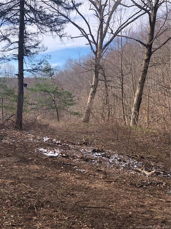 Beautiful 1.46 acres with mountain views on the Middlebury town line just steps to the Bridle Trail and minutes to Metro North, Interstates 84 & 8, multiple State parks, shopping, medical facilities and restaurants!