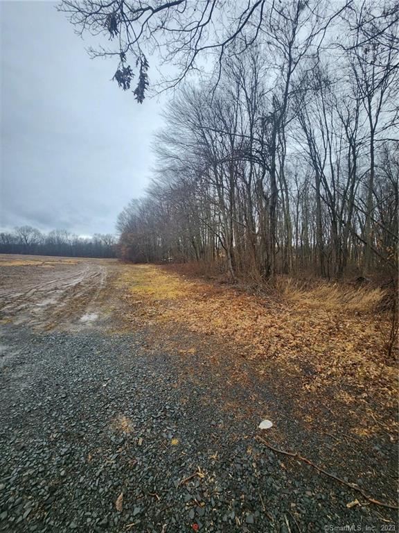 Great property and area with no wetlands once cleared would make a great lot. Great spot for 1 house or a few more.