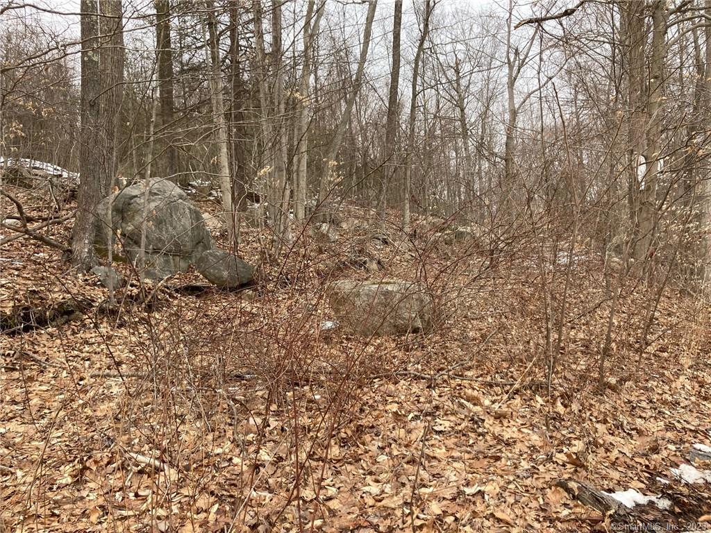 Directly across the street from Elks Pond entrance is where this wooded lot begins. Some clearing has been done for home site and driveway has been rough cut .Large rock marks the beginning of where driveway would be placed.With the right eye one can imagine how beautiful this could be for a new home site.Recent testing has not been done.