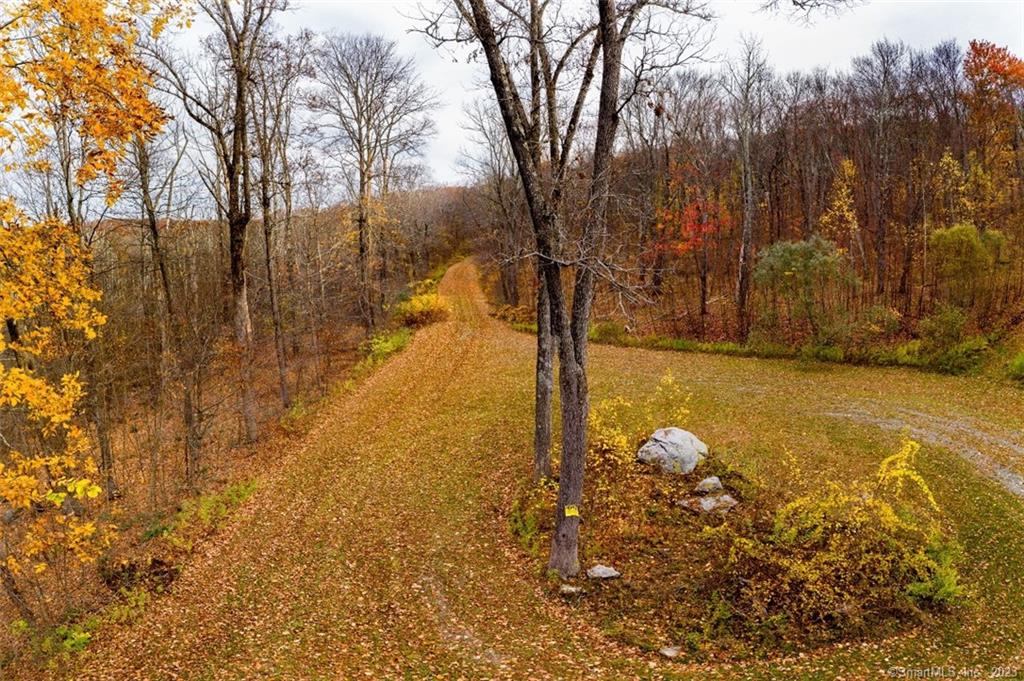 15 minutes to Kent & 15 minutes to Sharon with the Wassaic train station close by, this is a great opportunity to build stylish homes with acreage and views - or keep the whole package to yourself! These private parcels could easily be a secure, gated mini-community or a protected compound. Located off a quiet country gravel road with infrastructure already in place, a winding private side road leads to nature, safety, solitude, and beauty amidst healthy, rolling, wooded terrain. The individual lots are all 10.5 acres or more, and each has ridge line view potential. Five lots border land protected in perpetuity to the south. This is a must-see property for investors, builders, and those seeking estate-quality surroundings. Shown by appointment only. Taxes reflect CT PA-490 forestry status.