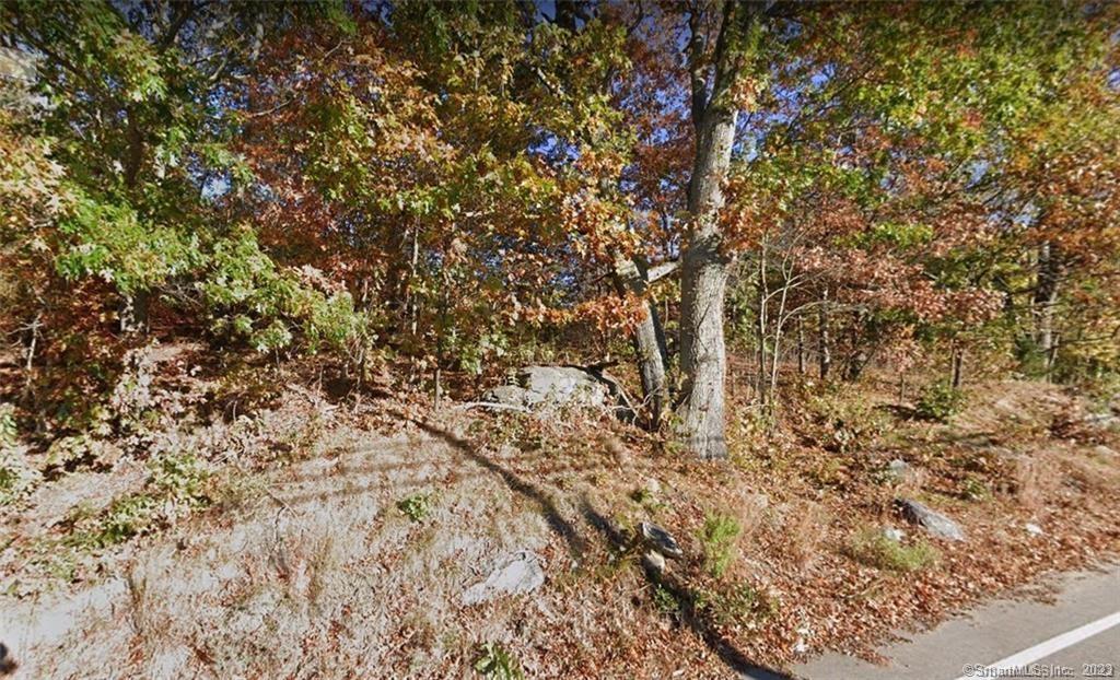 Seller is in the process of getting land surveyed with a plot plan. Lightly wooded lot to build your dream home on.