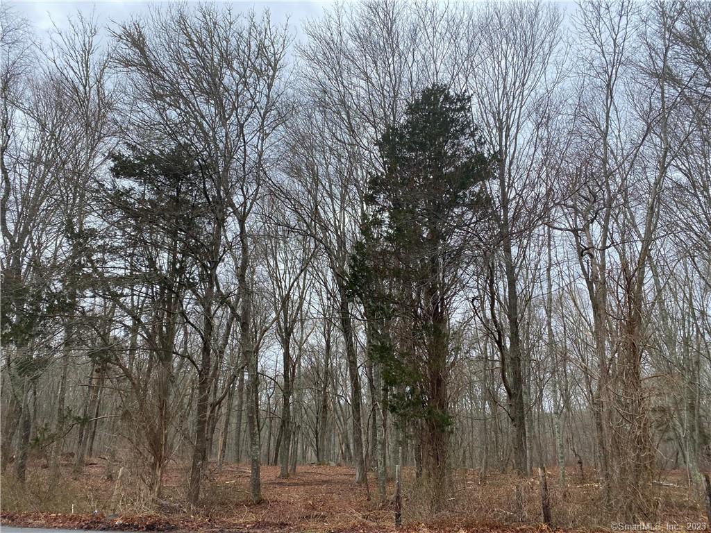 Being offered is Lot 1, a portion of 770 Pequot Trail, Stonington, CT