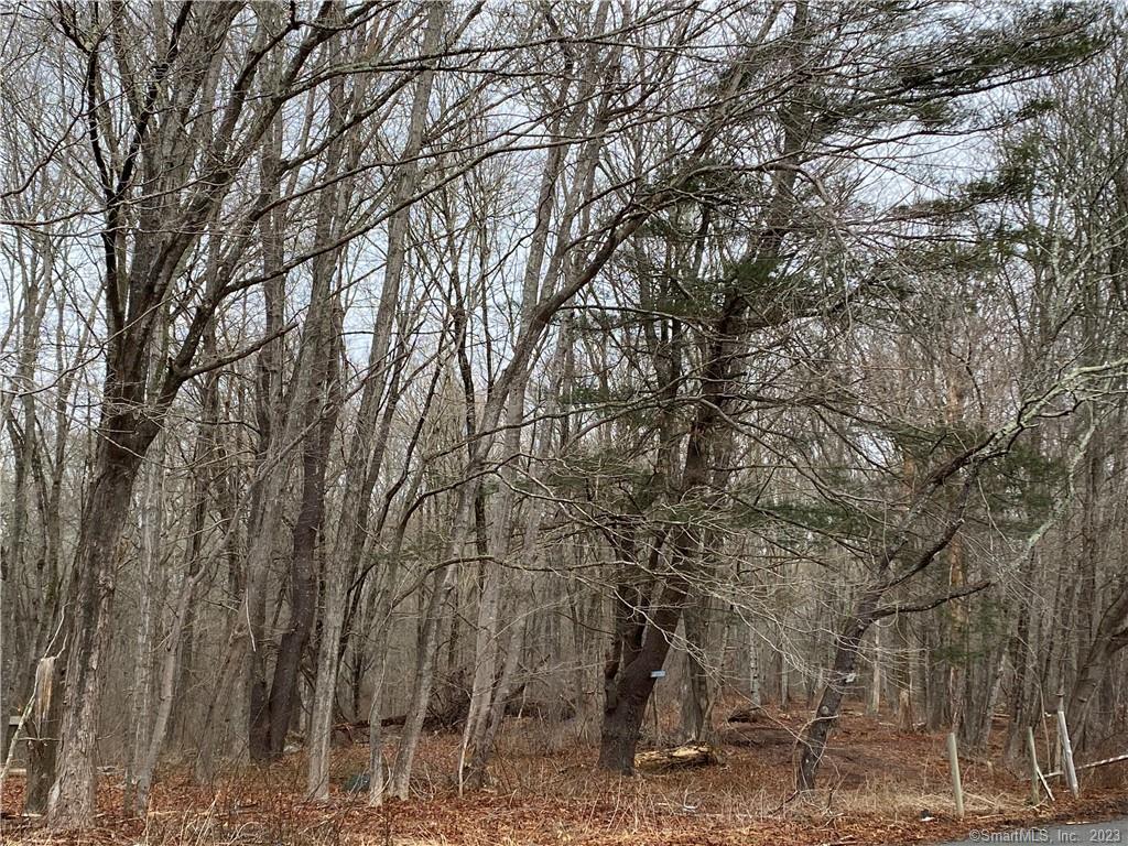 Being offered is Lot 2, a portion of 770 Pequot Trail, Stonington, CT