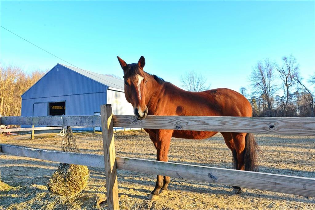 Quintessential New England Horse Facility, ideal for boarding, training, or private use. You will love the hard-to-find, 60'x120' LED lighted indoor arena! Grandfathered use for all your animals, property includes 17 matted, leveled, 10x12 stalls, tack room, running water, electricity, wash stall, and hay storage. Outdoors you will utilize the sizable fenced grazing pastures with run-ins and lighting. Inside the home, the current owner has performed extensive updates to the property (note- a detailed list of updates will be provided to all potential buyers). The spacious, newly created, eat-in kitchen boasts a stunning butcher block center island, quartz counters, new cabinets, new plumbing, new appliances, new lighting, a breakfast nook, & large sunny windows looking out to the pasture. The beamed formal dining room with built-in cabinets is perfect for entertaining. The cozy living room is ideal for relaxing with a book while enjoying the warm wood stove. One floor living, as the newly remodeled primary bedroom, primary bath, and state of the art washer and dryer are all on the first floor. Wood flooring throughout the home! Mechanicals include a new 200 amp electrical system, a new ultraviolet water purification system, 1.5 car garage, new pea stone driveway, and a generator-ready electrical setup. Perfect country living in desirable Woodstock, CT. Please visit today!