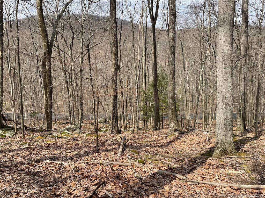 Two lots combined into one parcel. Property slopes gently up from the road. Private, lightly wooded home site surround by large parcels of land. Interesting rock outcroppings and great focal points. Easy access to Route 7 and points south. Good access to Route 37 and Route 22 to NY 684.