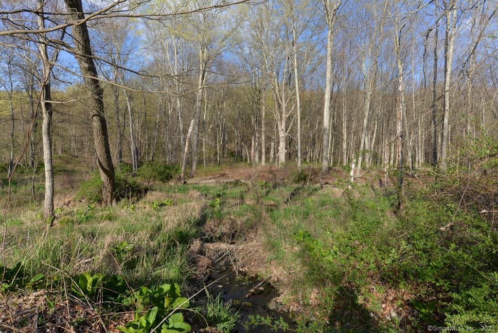 Private 1.5 acre lot bordered by Open Space. Price reflects need for driveway to cross a stream. Lovely area not far from Kettletown State Park and Jackson's Cove.