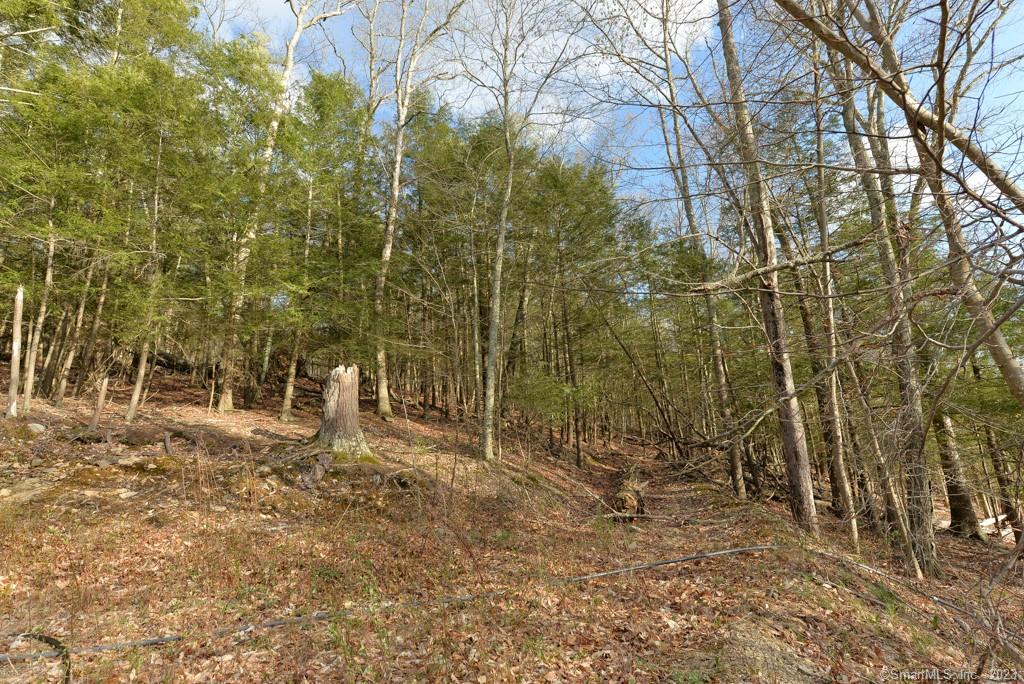 Spacious 1.75 acre lot on the western side of town. Build your dream home just a few miles from Southbury's convenient Main St South!